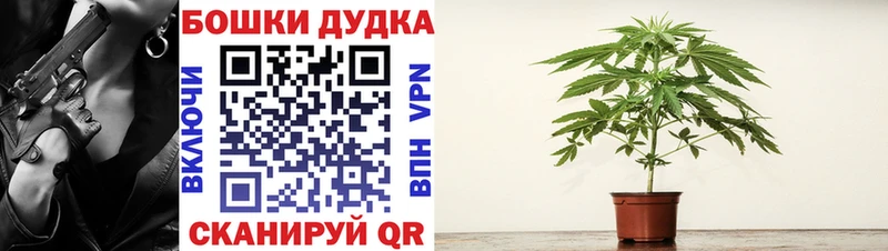 mega ССЫЛКА  Петушки  МАРИХУАНА Bruce Banner 